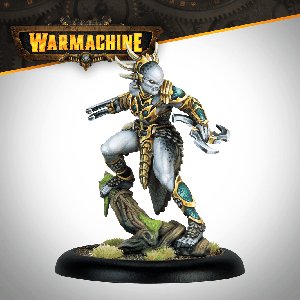 Warmachine: Magnus The Unstoppable And Invictus - Image 4